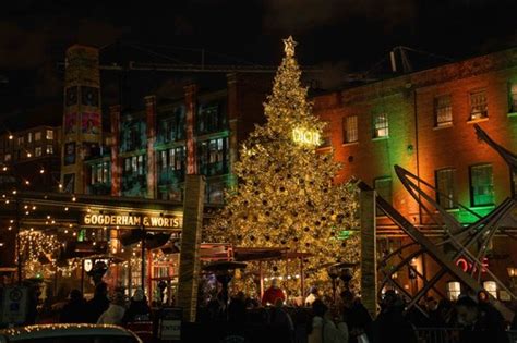 dior tree distillery district|toronto winter village distillery.